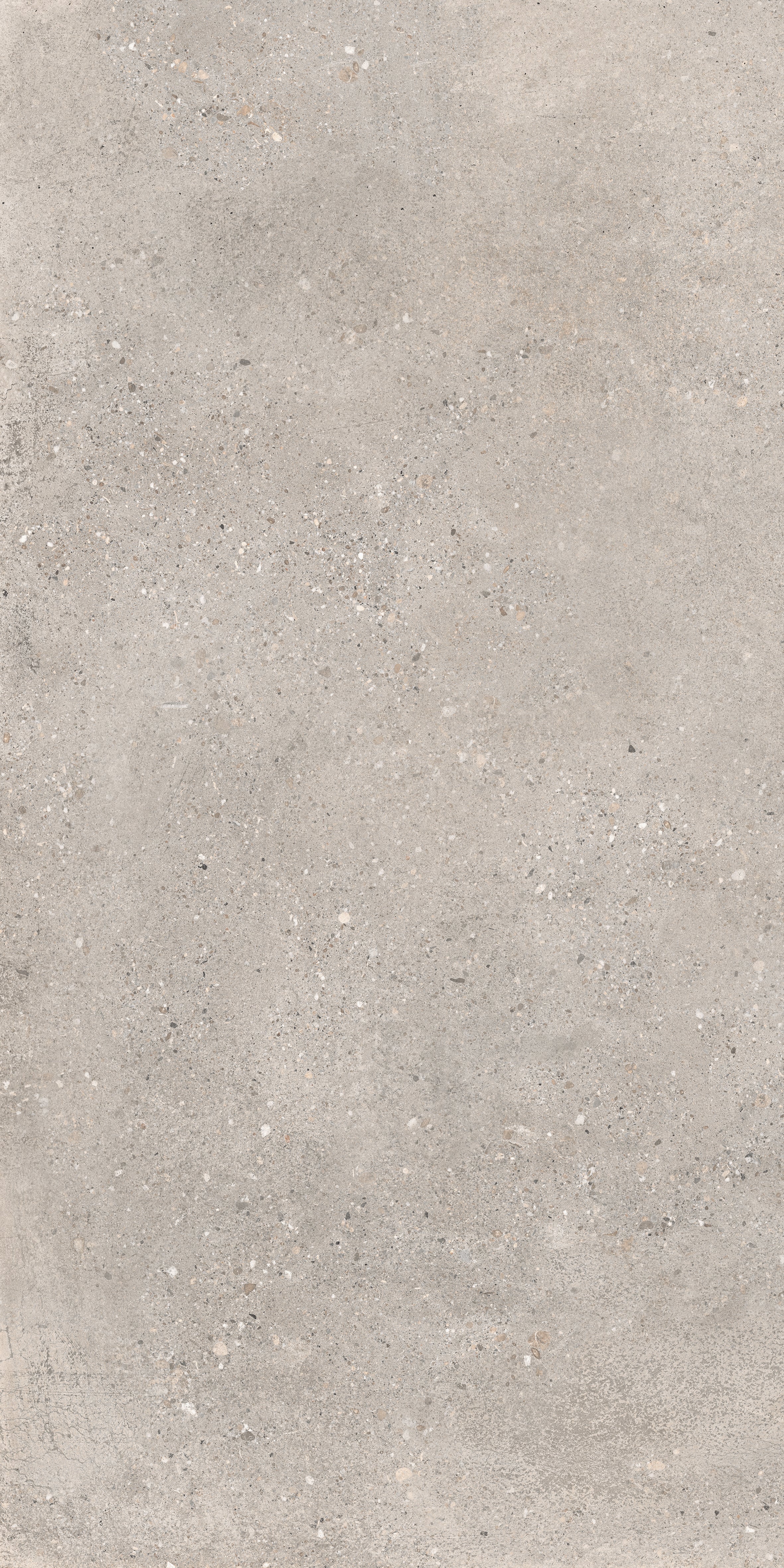 Cortina Grey 60x120 såg