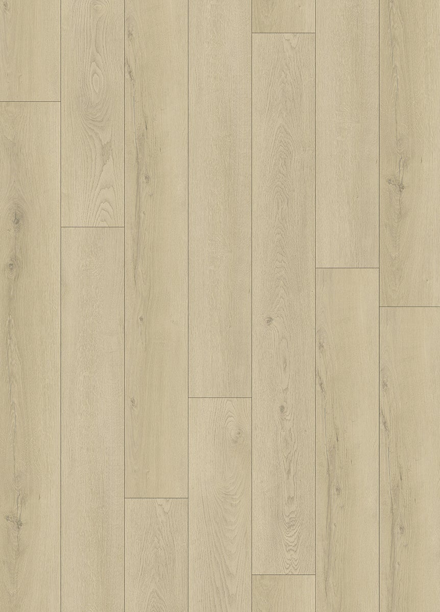 Softstep SYNQ Tryffel