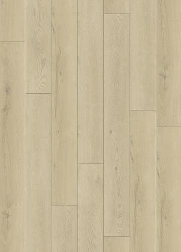 Softstep SYNQ Tryffel