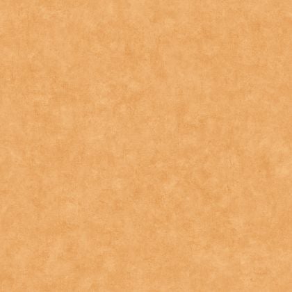 Caselio - Beton Uni Savane Beton 2