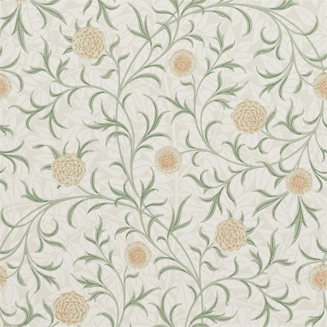 Morris & Co - Scroll Thyme/Pear Morris 160th Anniversary