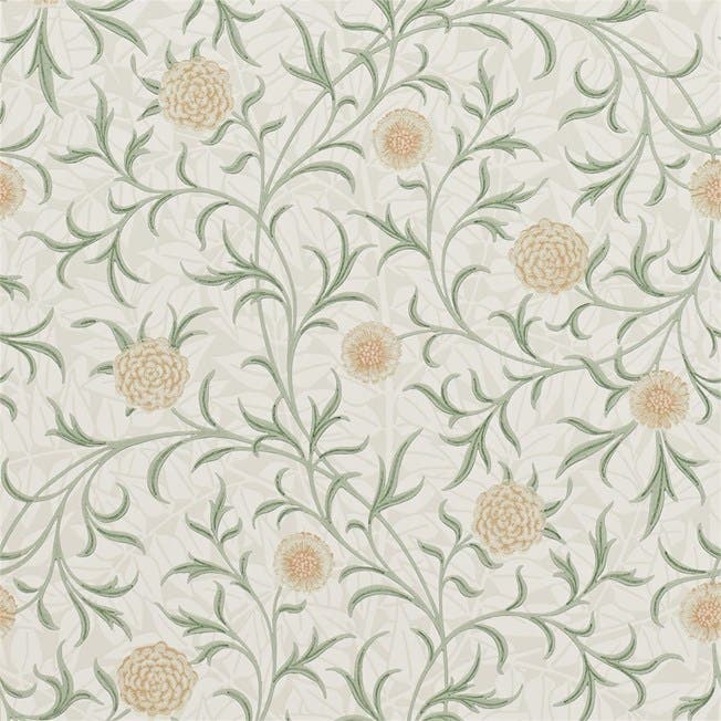 Scroll Thyme/Pear Morris 160th Anniversary