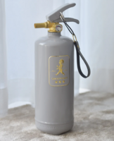 Brandsläckare 2 kg Grå/Guld