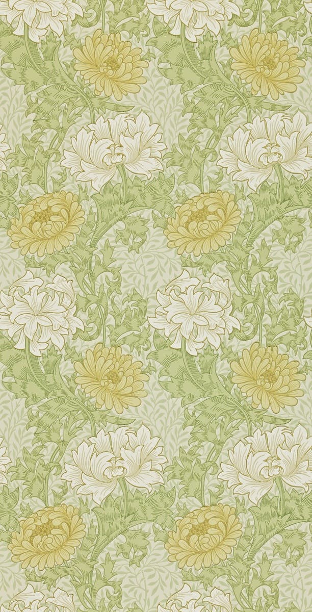Chrysanthemum Pale Olive Archive II Wallpapers