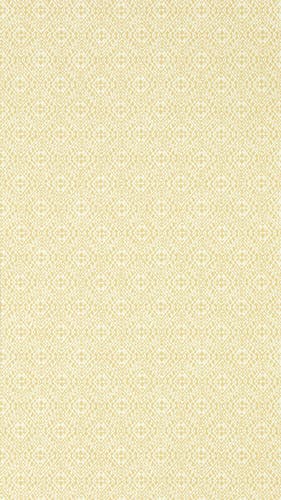 Sanderson - Pinjara Trellis Woad Littlemore Wallpapers