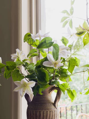 Boråstapeter - Olivträd