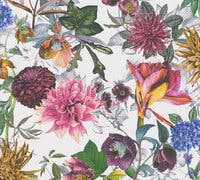 Dream Flowery