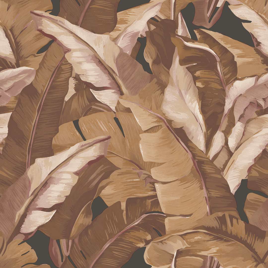 Intrade - Encanto