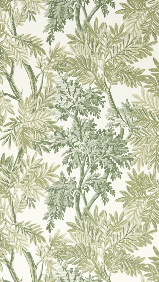 Sanderson - Tapestry Trees Forest/Wil Country Woodland Wallcove