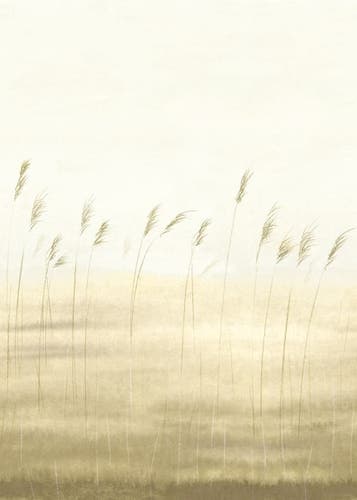 Casadeco - Jonc Des Dunes_M Ble 200X Sentier Des Dunes