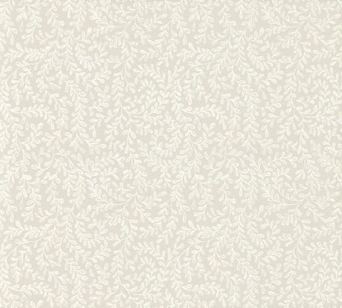 Carma - Audley, NW Rosemore