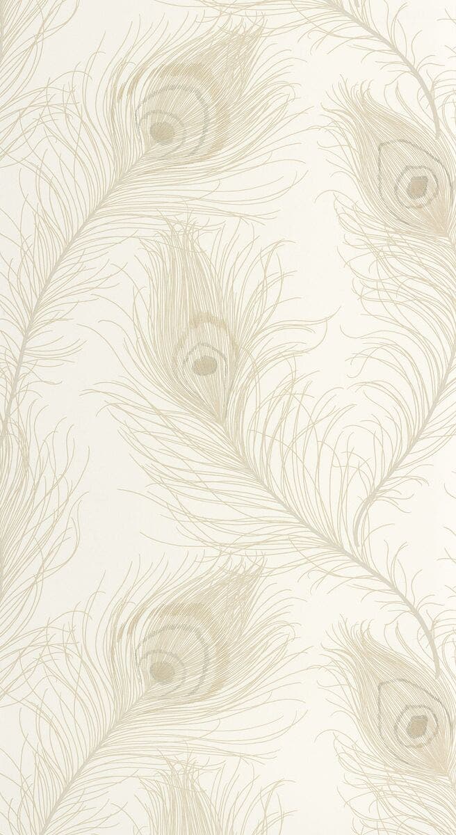 REVUE BEIGE LIN ANNEES FOLLES