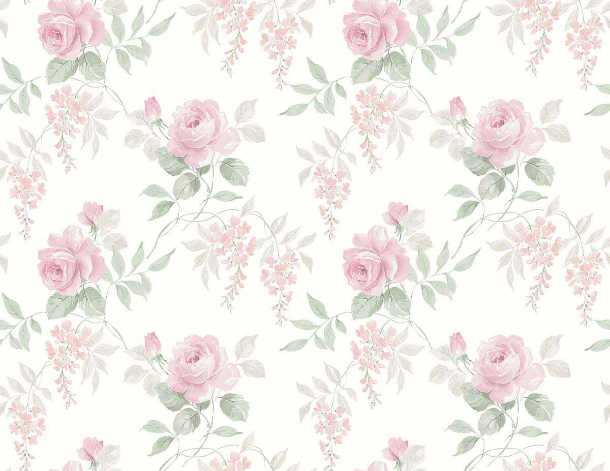 Carma - Alice & Rose