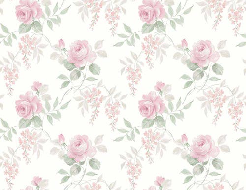 Carma - Alice & Rose