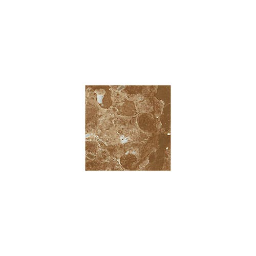 Heritage Heritage Rosso Verona passbit 4,6x4,6