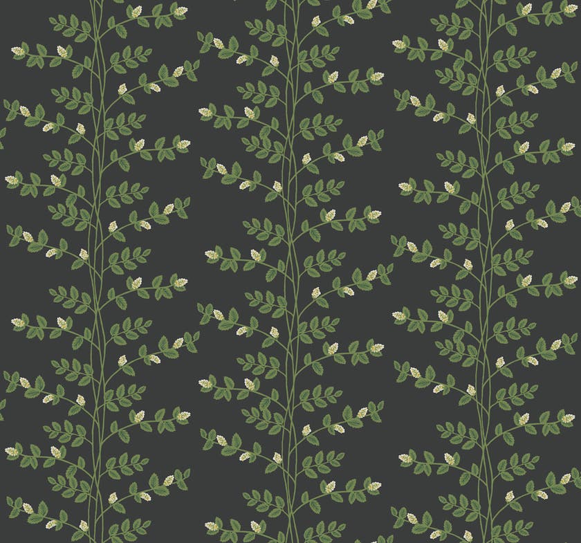 Midbec Tapeter - Climbing Vine