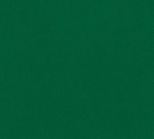 Intrade - Dream Flowery