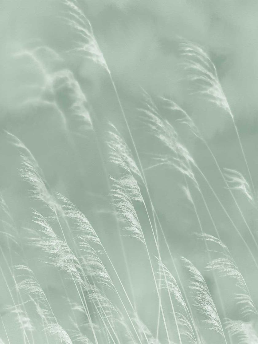 Eijffinger Intrade - Waterfront Väggbild