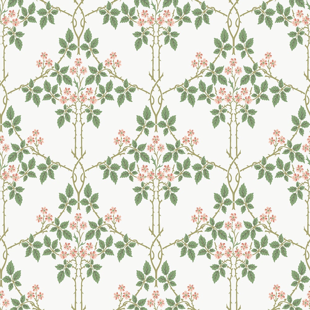 Midbec Tapeter - Blackberry