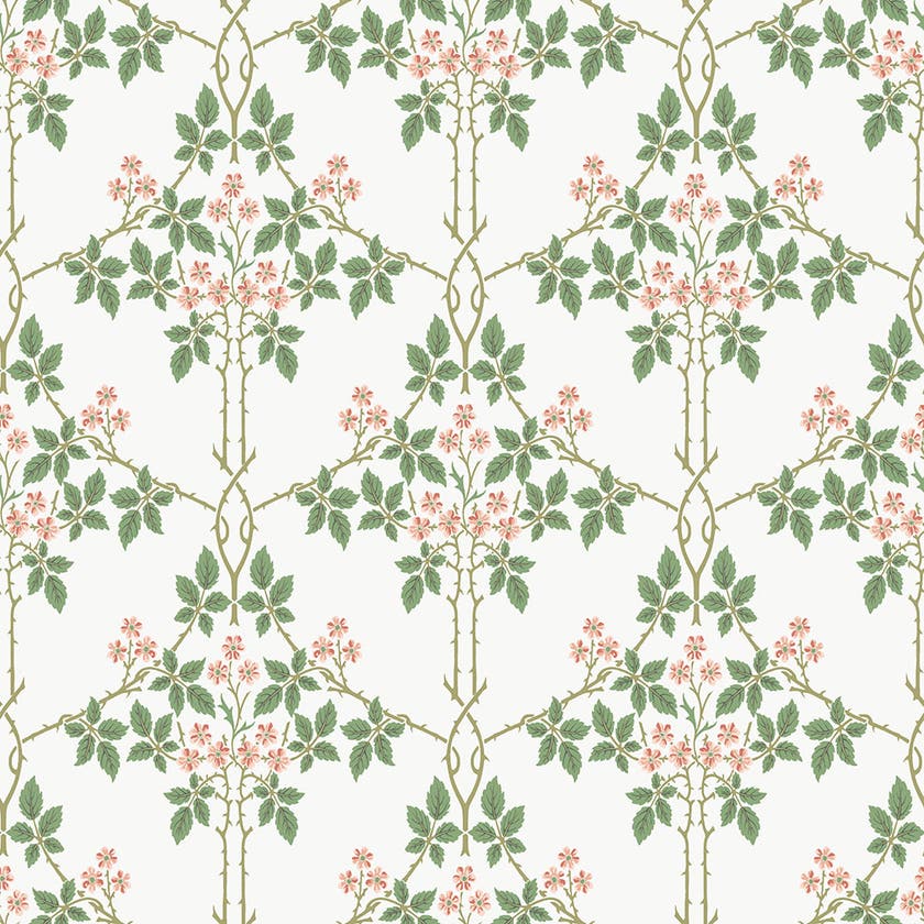 Midbec Tapeter - Blackberry