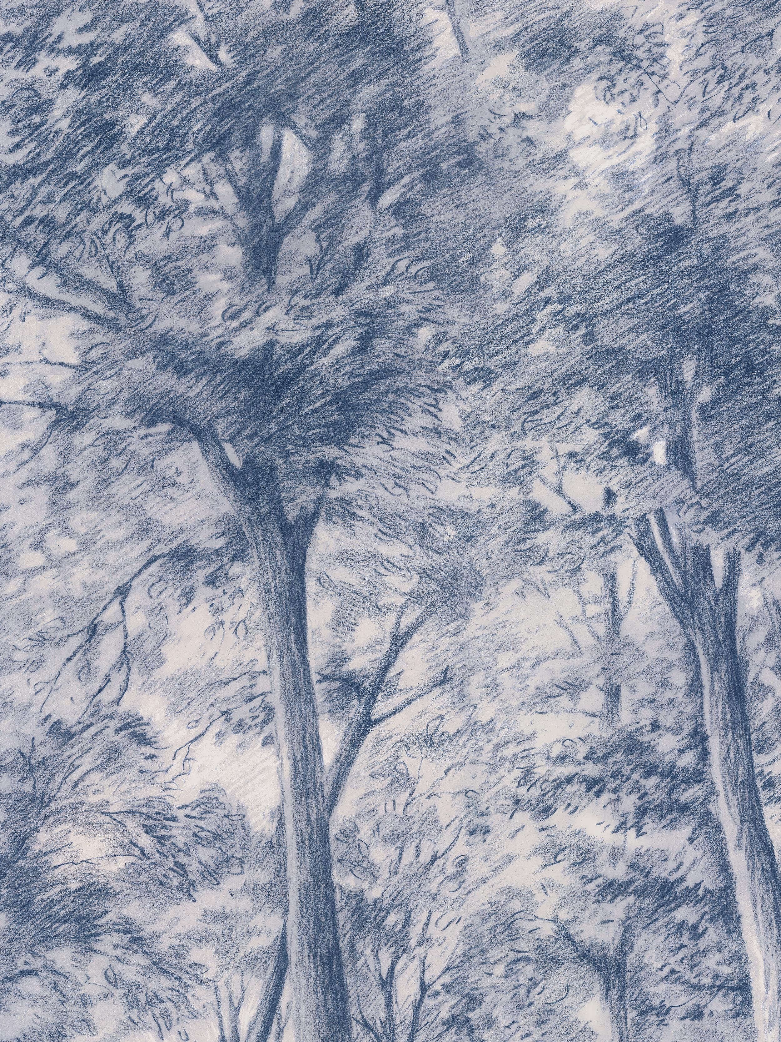 Boråstapeter - Boråstapeter - Sketch of Trees