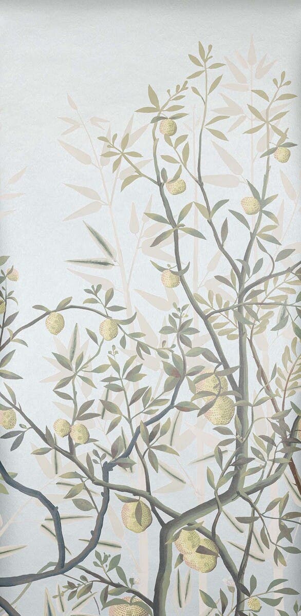 Manuel Canovas - La Voliere Aqua