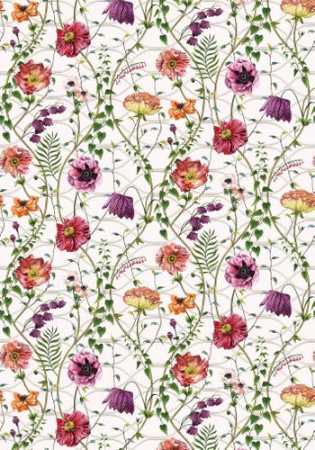 Osborne & Little - Lamorran Trail Lamorran Trail Fuchsia.