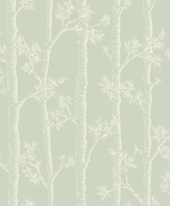 Caselio - Automne Vert D Eau Balade