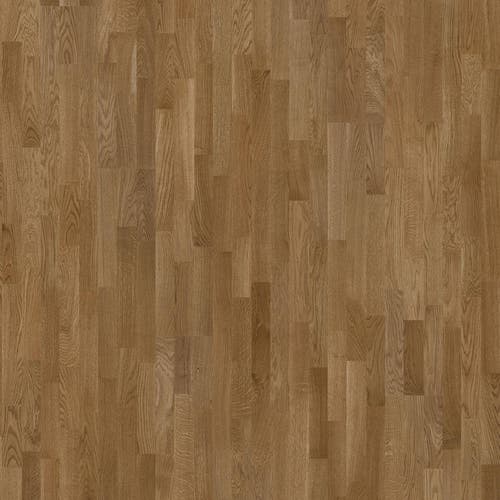 Shade | Ek Almond Tres