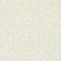 Chrsyanthemum Chalk Morris 160th Anniversary