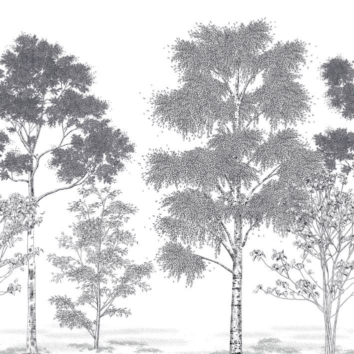 Caselio - Poesie Printaniere Noir 2 Balade