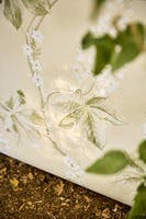 Sanderson - Chestnut Tree Seaspray/Pe Country Woodland Wallcove