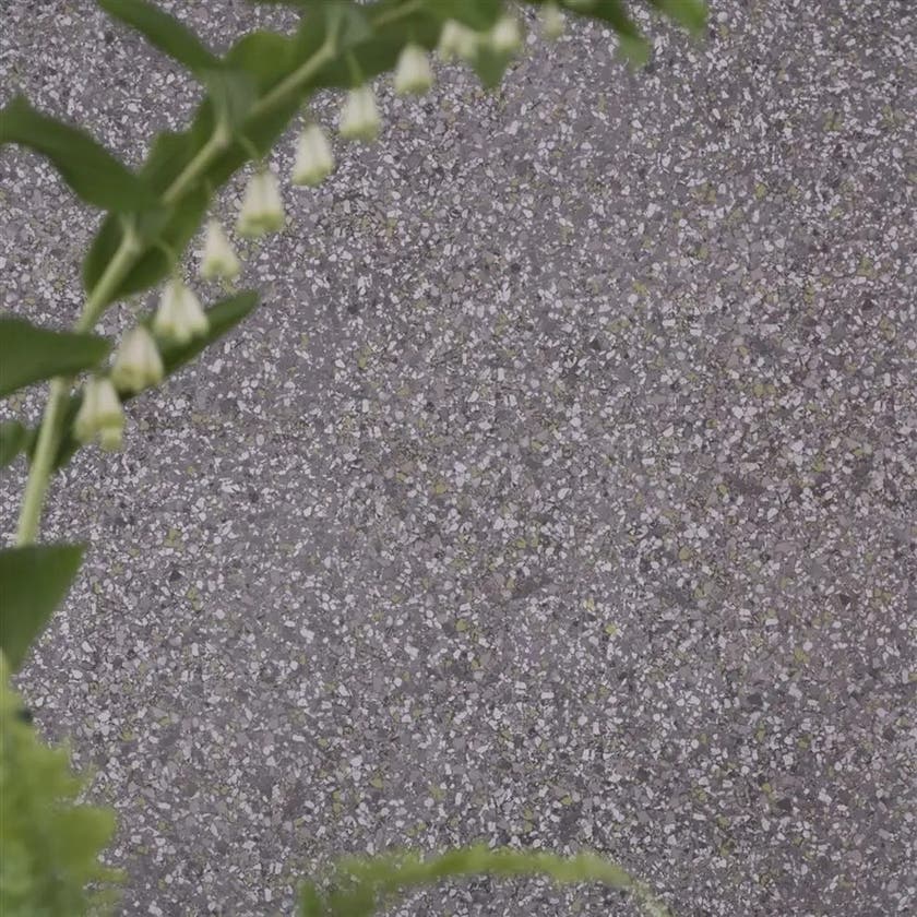 Designers Guild - Pavonazzo Tulipa Stellata