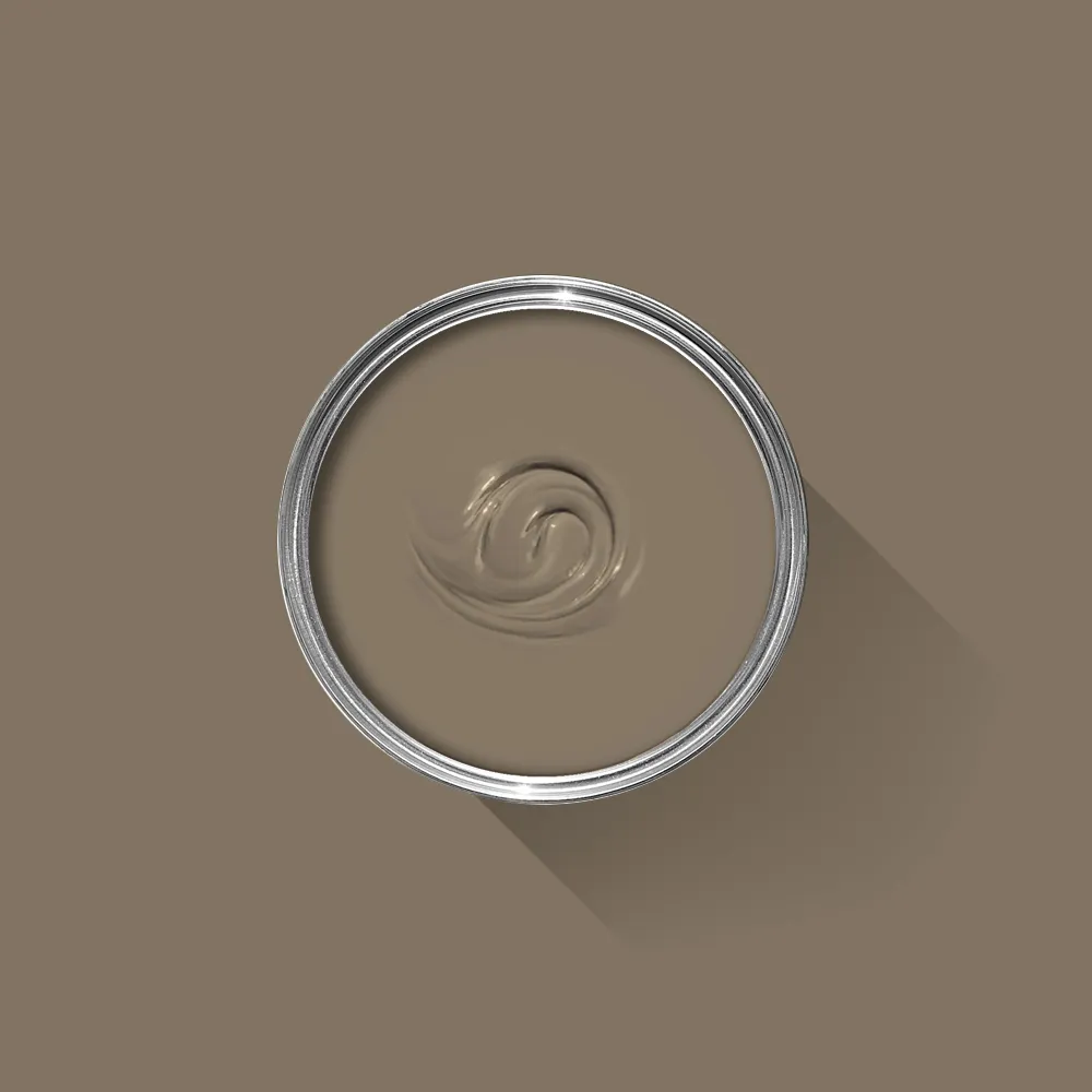 Broccoli Brown 198 - F&B Dead Flat 2,5 L