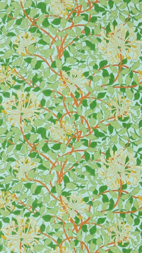 Morris & Co - Honeysuckle Sky/Burnt Ora Cornubia Wallpapers
