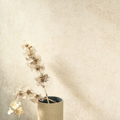 Casadeco - Mur A La Chaux Beige Gres So Color 5