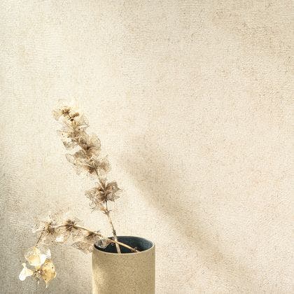 Casadeco - Mur A La Chaux Beige Gres So Color 5