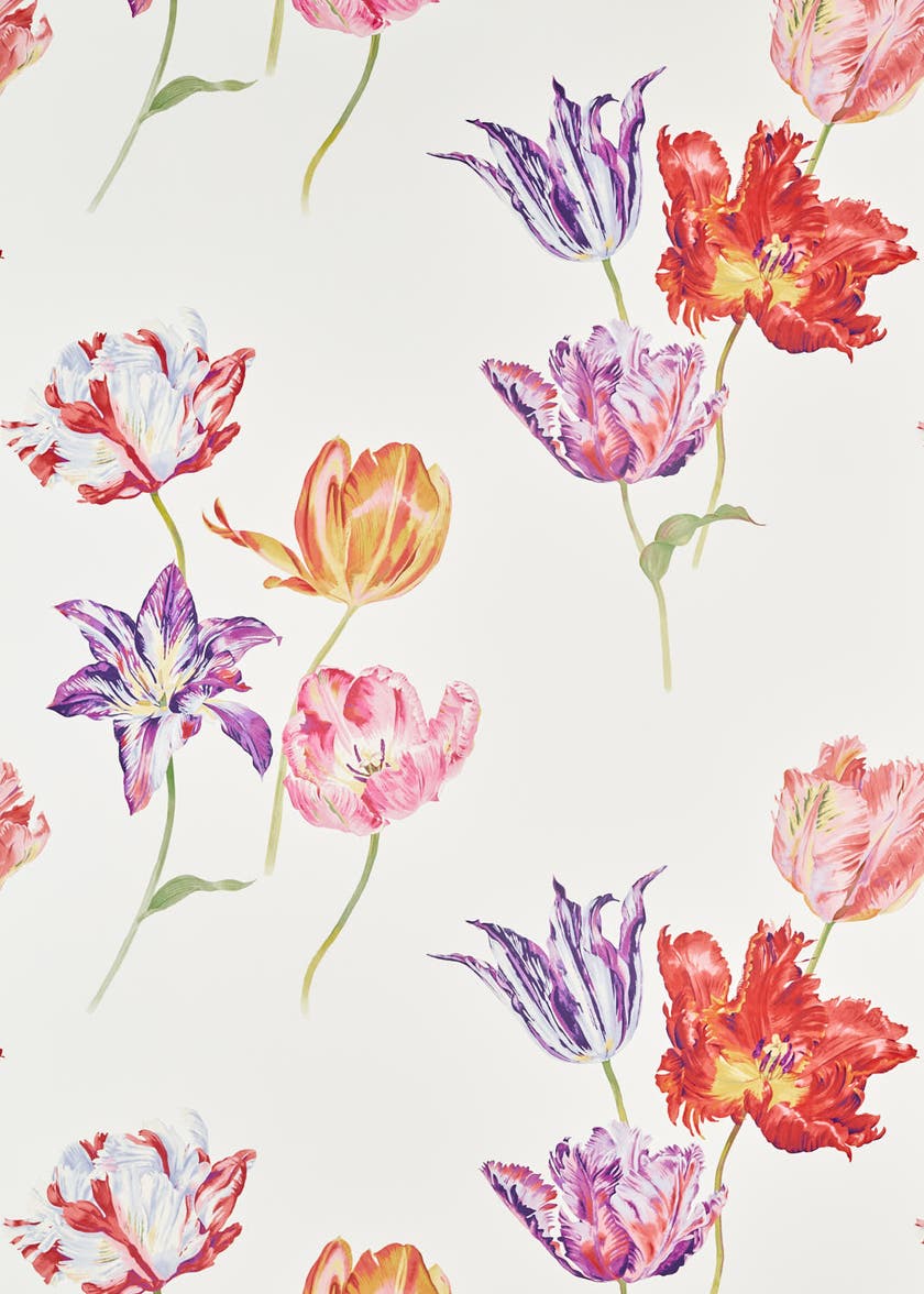 Sanderson - Tulipomania Tulipomania B Glasshouse Wallpapers