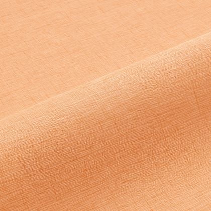 Caselio - Uni Gaze Orange Gaze