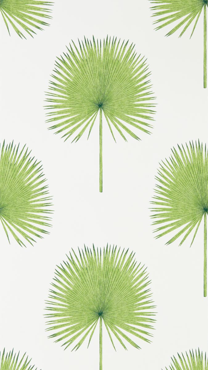Sanderson - Fan Palm Botanical Green Glasshouse Wallpapers