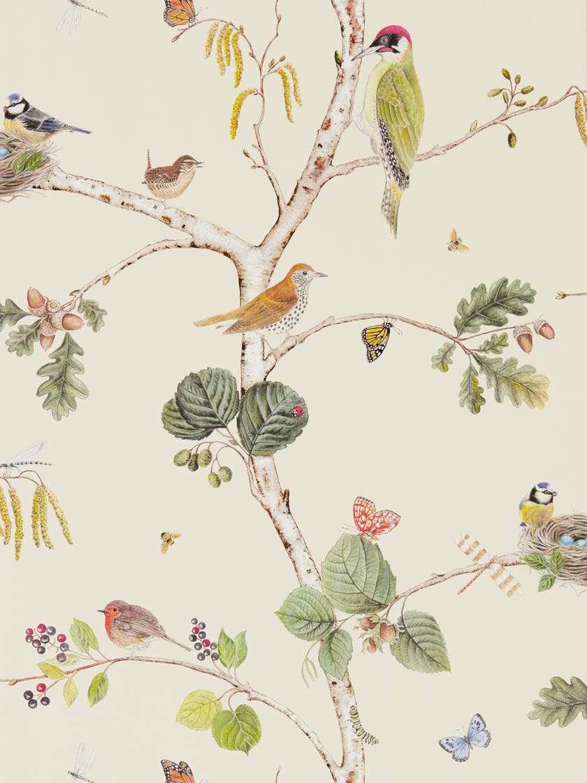 Sanderson - Woodland Chorus Cream/Mul Arboretum Wallpapers