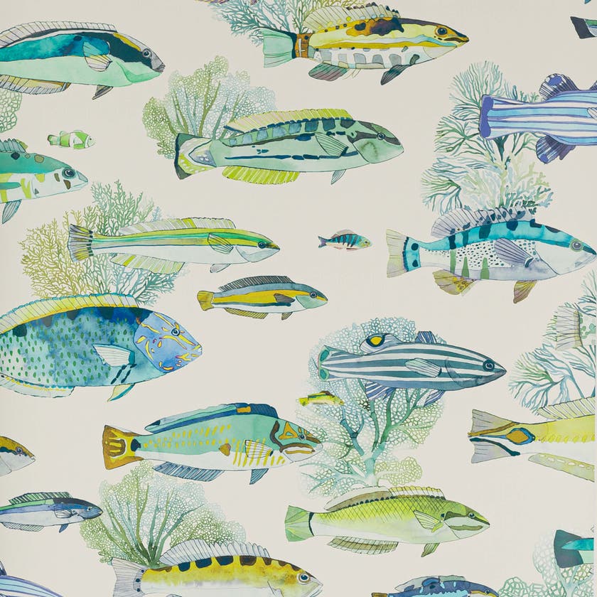 Manuel Canovas - Fidji Aqua