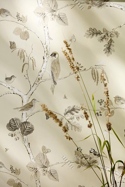 Sanderson - Woodland Chorus Sepia/Neu Country Woodland Wallcove