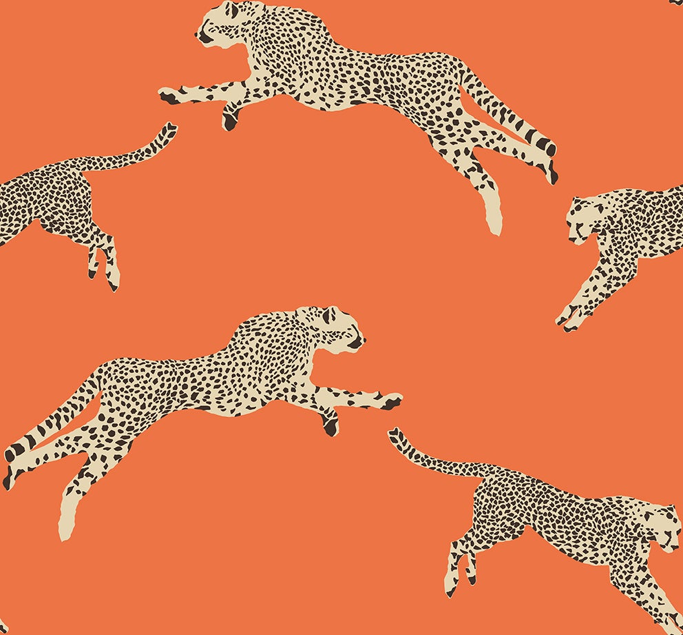 Jannelli & Volpi - Leaping Cheetah