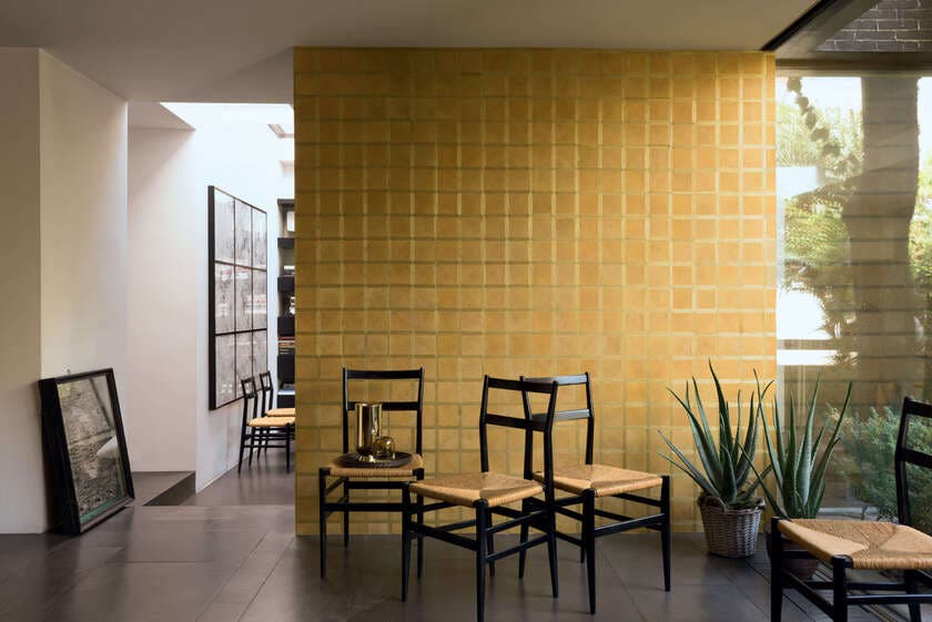 Essences de Bois Caïssa Paulownia wood RM43420