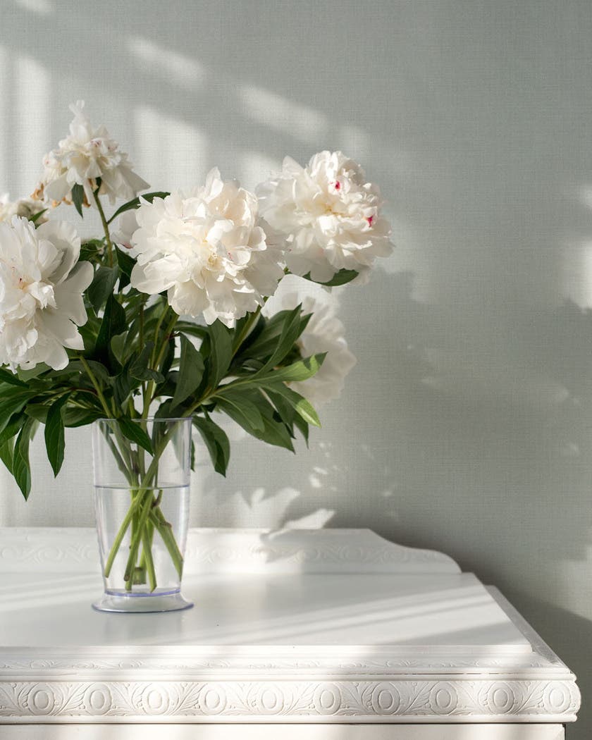 Snödroppe - Midbec Midolin/Sommaräng