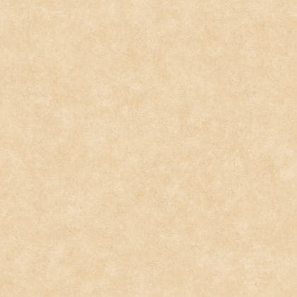 Caselio - Beton Uni Dune Beton 2