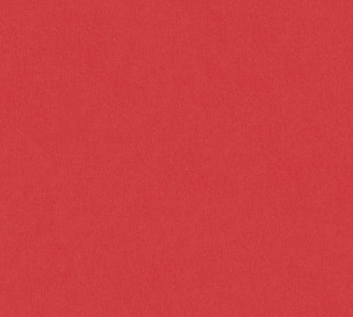 Intrade - Dream Flowery