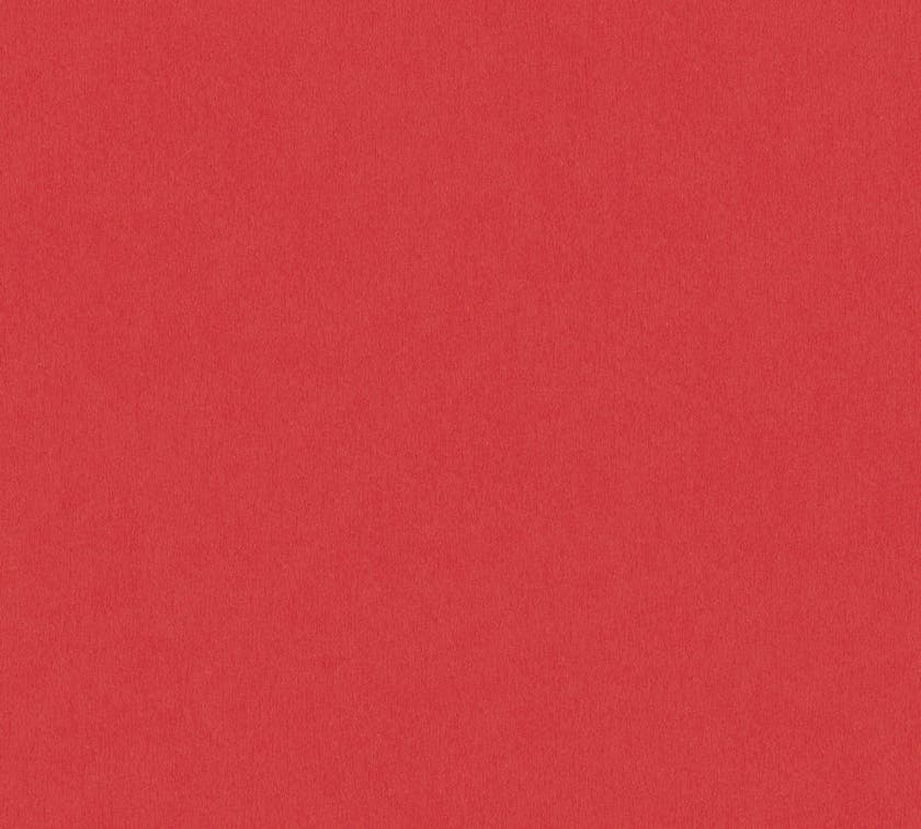 Intrade - Dream Flowery