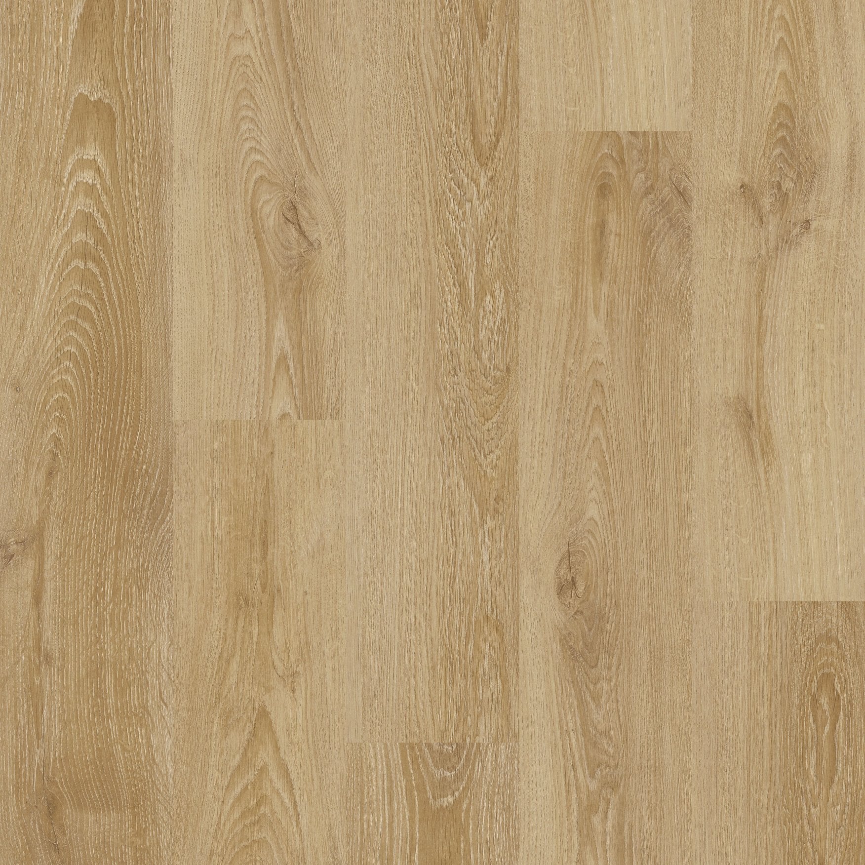 Bellagio | ProPlus 1200 Series 